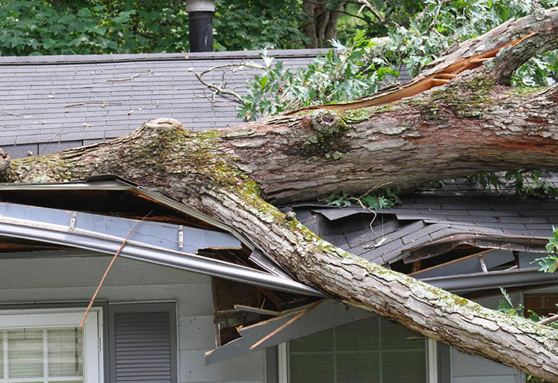 Naples-Hurricane-Damage-Repair-Company